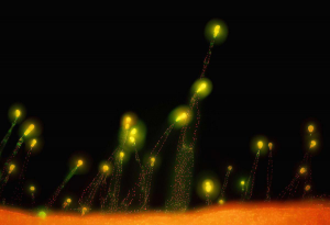 如何保持長(zhǎng)期、持續(xù)、穩(wěn)定的努力